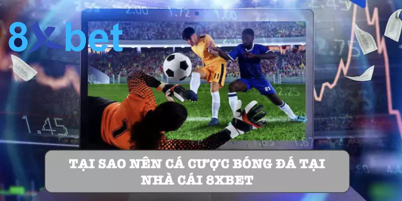 Cược bóng đá 8xbet: Hướng dẫn chi tiết cho người mới bắt đầu Tại sao nên cá cược bóng đá tại nhà cái 8xbet