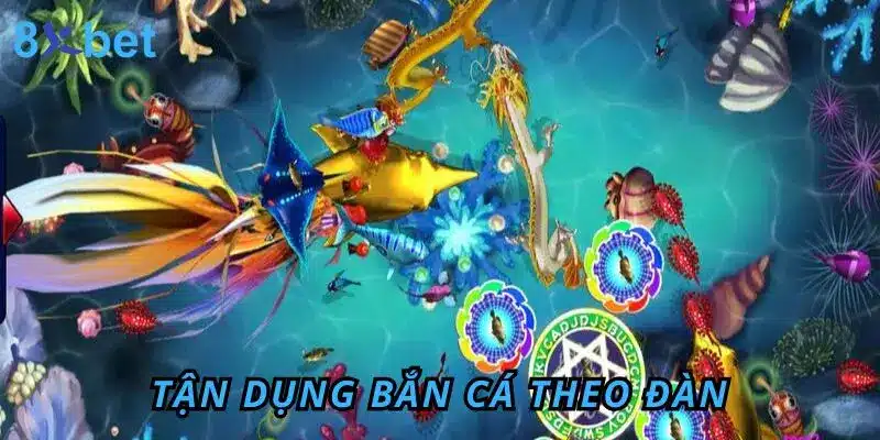 Tận dụng bắn cá theo đàn