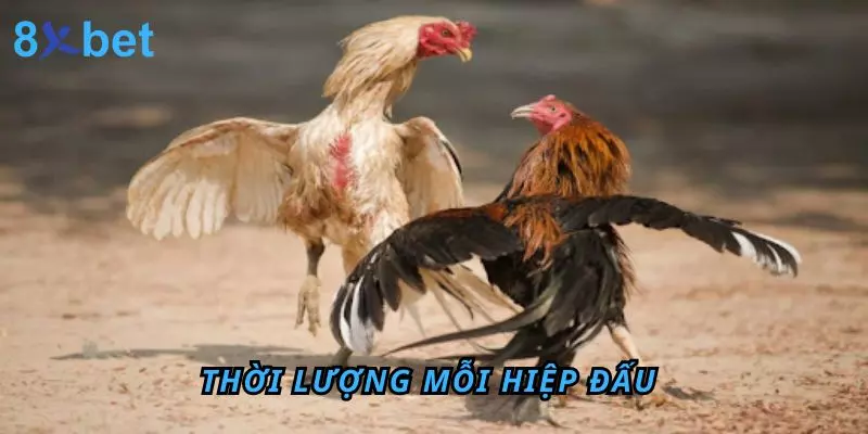 Thời lượng mỗi hiệp đấu